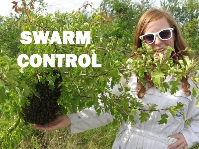 Swarm Control Powerpoint